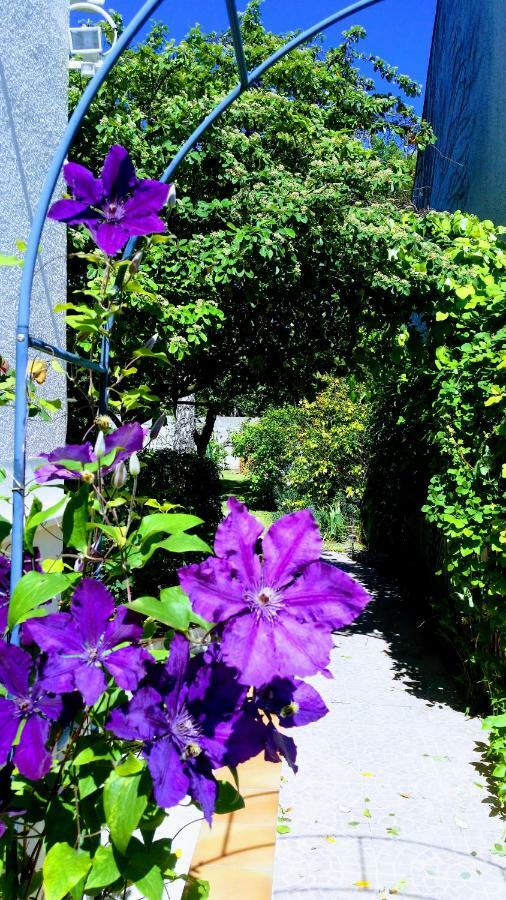Chambre Avec Jardin Pierre Curie Bry-sur-Marne Buitenkant foto